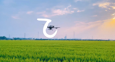 捕捉農(nóng)場(chǎng)版“野生漢字”